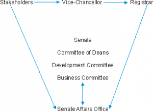 Senate Organigram